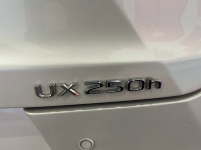 2022 Lexus UX UX 250h Luxury