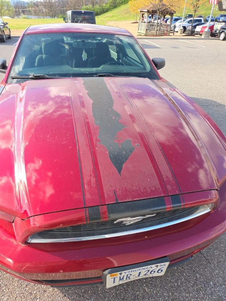 2014 Ford Mustang V6