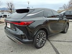 2023 Lexus RX RX 350 Premium Plus