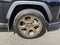 2024 Toyota RAV4 Woodland Edition